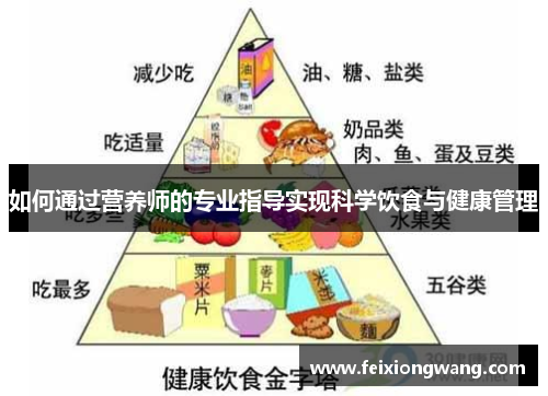 如何通过营养师的专业指导实现科学饮食与健康管理