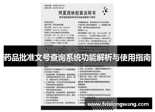 药品批准文号查询系统功能解析与使用指南